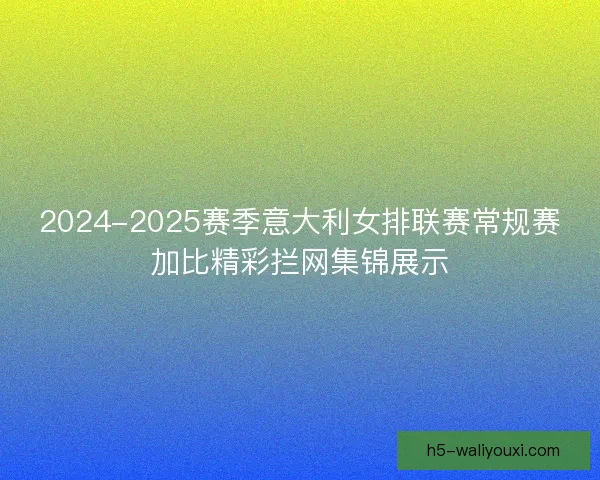 2024-2025赛季意大利女排联赛常规赛加比精彩拦网集锦展示